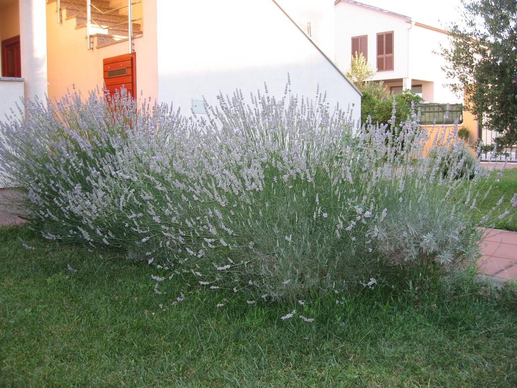 Apartments Blandona Biograd Na Moru Exterior photo